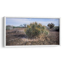 Cactus - Rev | Cuadro decorativo de Canvas Lab