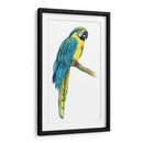 Macaw Teal I - Grace Popp | Cuadro decorativo de Canvas Lab
