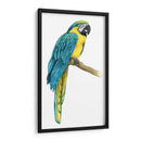 Macaw Teal I - Grace Popp | Cuadro decorativo de Canvas Lab