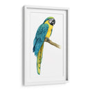 Macaw Teal I - Grace Popp | Cuadro decorativo de Canvas Lab