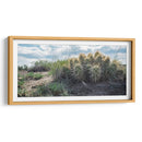 Cactus Family - Rev | Cuadro decorativo de Canvas Lab