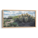 Cactus Family - Rev | Cuadro decorativo de Canvas Lab