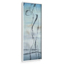 Canciones De Ballena Ii - Jennifer Goldberger | Cuadro decorativo de Canvas Lab