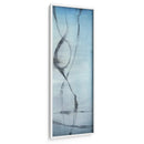 Canciones De Ballena Iii - Jennifer Goldberger | Cuadro decorativo de Canvas Lab