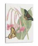 Les Papillons Ii - Vision Studio | Cuadro decorativo de Canvas Lab