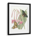 Les Papillons Ii - Vision Studio | Cuadro decorativo de Canvas Lab