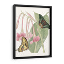 Les Papillons Ii - Vision Studio | Cuadro decorativo de Canvas Lab