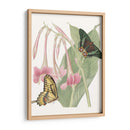 Les Papillons Ii - Vision Studio | Cuadro decorativo de Canvas Lab