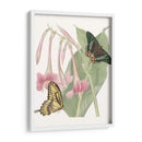 Les Papillons Ii - Vision Studio | Cuadro decorativo de Canvas Lab