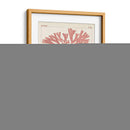 Marina De Coral Antigua Iii - Vision Studio | Cuadro decorativo de Canvas Lab