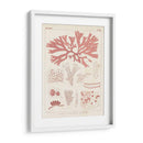 Marina De Coral Antigua Iii - Vision Studio | Cuadro decorativo de Canvas Lab