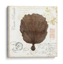 Pequeño Romance Du Mer Ii - Vision Studio | Cuadro decorativo de Canvas Lab