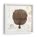 Pequeño Romance Du Mer Ii - Vision Studio | Cuadro decorativo de Canvas Lab