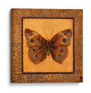 Mariposa Crackled - Buckeye - Wendy Russell | Cuadro decorativo de Canvas Lab