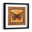 Mariposa Crackled - Buckeye - Wendy Russell | Cuadro decorativo de Canvas Lab