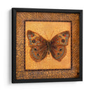 Mariposa Crackled - Buckeye - Wendy Russell | Cuadro decorativo de Canvas Lab