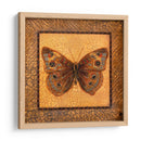 Mariposa Crackled - Buckeye - Wendy Russell | Cuadro decorativo de Canvas Lab