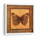 Mariposa Crackled - Buckeye - Wendy Russell | Cuadro decorativo de Canvas Lab