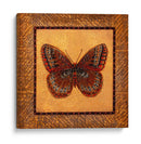 Mariposa Crujífica - Fritillary - Wendy Russell | Cuadro decorativo de Canvas Lab