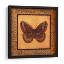 Mariposa Crujífica - Fritillary - Wendy Russell | Cuadro decorativo de Canvas Lab