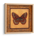 Mariposa Crujífica - Fritillary - Wendy Russell | Cuadro decorativo de Canvas Lab