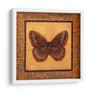 Mariposa Crujífica - Fritillary - Wendy Russell | Cuadro decorativo de Canvas Lab