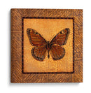 Mariposa Crujida - Monarca - Wendy Russell | Cuadro decorativo de Canvas Lab