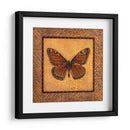 Mariposa Crujida - Monarca - Wendy Russell | Cuadro decorativo de Canvas Lab