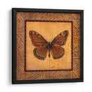 Mariposa Crujida - Monarca - Wendy Russell | Cuadro decorativo de Canvas Lab