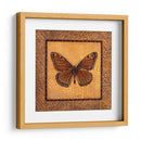 Mariposa Crujida - Monarca - Wendy Russell | Cuadro decorativo de Canvas Lab