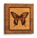 Mariposa Crackled - Swallowtail - Wendy Russell | Cuadro decorativo de Canvas Lab