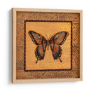 Mariposa Crackled - Swallowtail - Wendy Russell | Cuadro decorativo de Canvas Lab