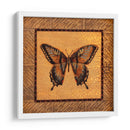 Mariposa Crackled - Swallowtail - Wendy Russell | Cuadro decorativo de Canvas Lab