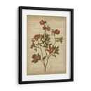 Flores Prensadas Románticas I - Jennifer Goldberger | Cuadro decorativo de Canvas Lab