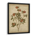 Flores Prensadas Románticas I - Jennifer Goldberger | Cuadro decorativo de Canvas Lab