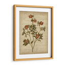 Flores Prensadas Románticas I - Jennifer Goldberger | Cuadro decorativo de Canvas Lab