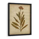 Flores Prensadas Románticas Ii - Jennifer Goldberger | Cuadro decorativo de Canvas Lab