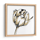 Bosquejo De Tulipán Ii - Ethan Harper | Cuadro decorativo de Canvas Lab