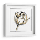 Bosquejo De Tulipán Ii - Ethan Harper | Cuadro decorativo de Canvas Lab