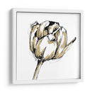 Bosquejo De Tulipán Ii - Ethan Harper | Cuadro decorativo de Canvas Lab