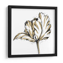 Boceto De Tulipán Iii - Ethan Harper | Cuadro decorativo de Canvas Lab