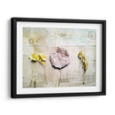 Herbario Iii - Ingrid Blixt | Cuadro decorativo de Canvas Lab