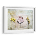 Herbario Iii - Ingrid Blixt | Cuadro decorativo de Canvas Lab