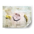 Herbario Iii - Ingrid Blixt | Cuadro decorativo de Canvas Lab