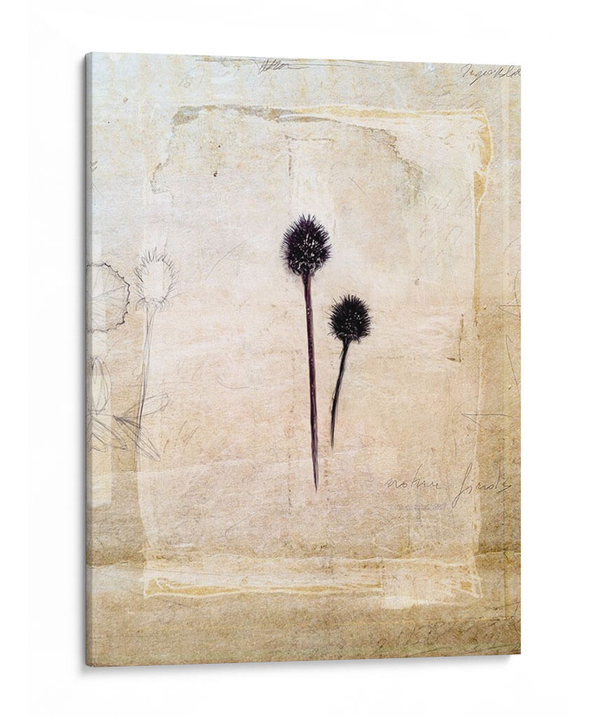 Herbario Iv - Ingrid Blixt | Cuadro decorativo de Canvas Lab