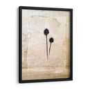 Herbario Iv - Ingrid Blixt | Cuadro decorativo de Canvas Lab