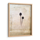 Herbario Iv - Ingrid Blixt | Cuadro decorativo de Canvas Lab