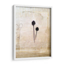 Herbario Iv - Ingrid Blixt | Cuadro decorativo de Canvas Lab