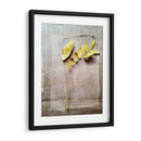 Herbario V - Ingrid Blixt | Cuadro decorativo de Canvas Lab