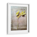 Herbario V - Ingrid Blixt | Cuadro decorativo de Canvas Lab